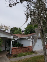 mike-on-roof-22-web