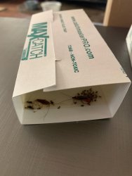 pest-control-box